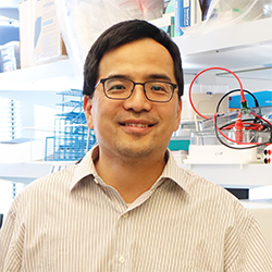 Li Li, MD, PhD