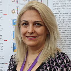 Shabnam Salimi