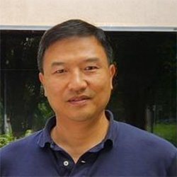 Wang Wang